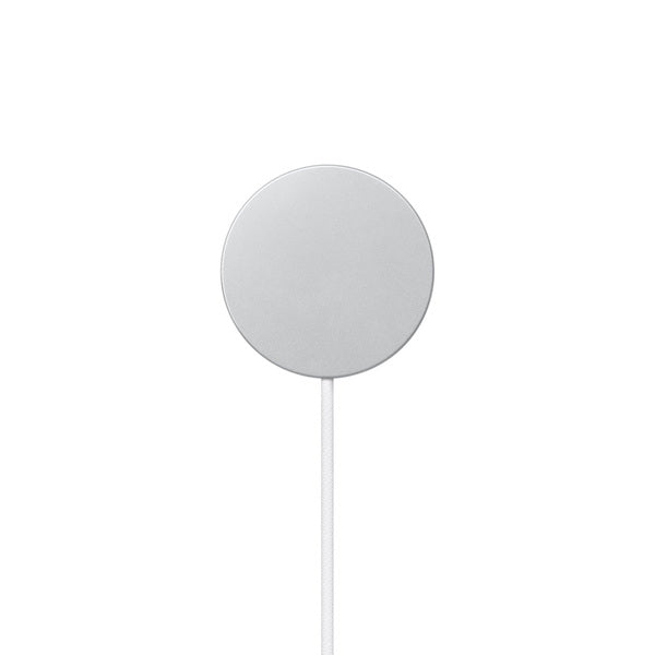 Cable USB-C a MagSafe charger de 1.0 Mt Apple